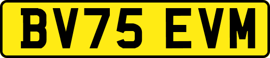 BV75EVM
