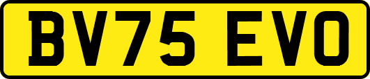 BV75EVO