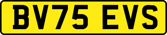 BV75EVS
