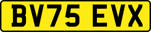 BV75EVX