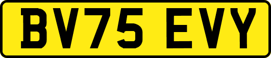 BV75EVY