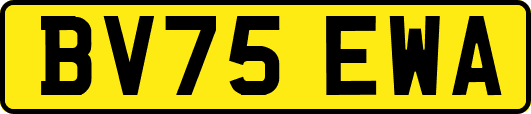 BV75EWA
