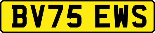 BV75EWS