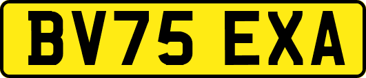 BV75EXA
