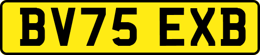 BV75EXB