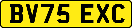 BV75EXC