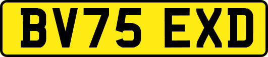 BV75EXD