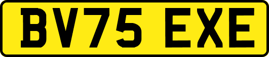 BV75EXE