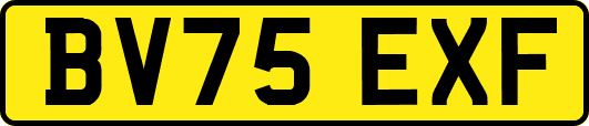 BV75EXF