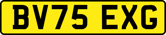 BV75EXG