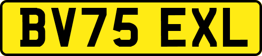 BV75EXL