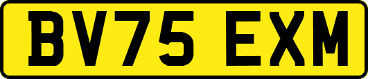 BV75EXM