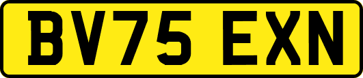 BV75EXN