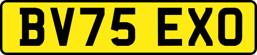 BV75EXO
