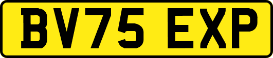 BV75EXP