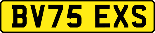 BV75EXS