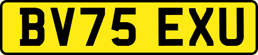 BV75EXU