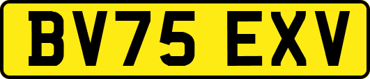 BV75EXV