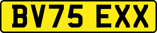BV75EXX
