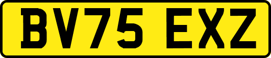 BV75EXZ