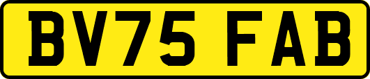 BV75FAB