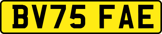 BV75FAE