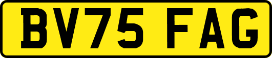 BV75FAG