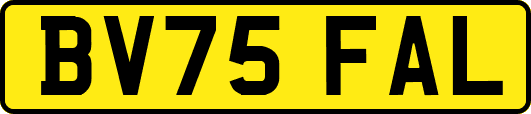 BV75FAL