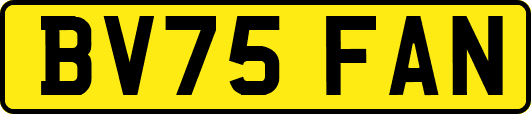 BV75FAN