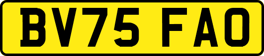 BV75FAO