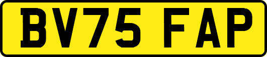 BV75FAP