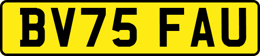 BV75FAU