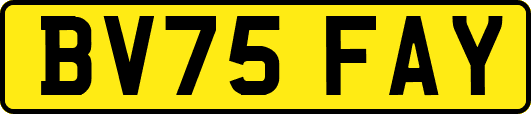 BV75FAY