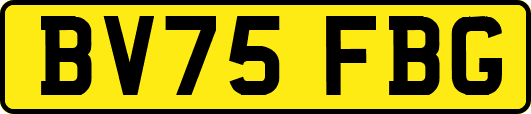 BV75FBG