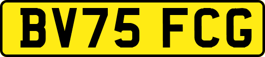 BV75FCG