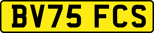 BV75FCS