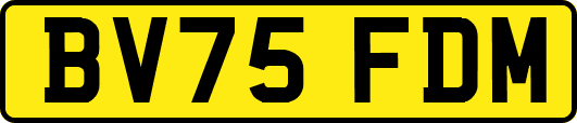 BV75FDM