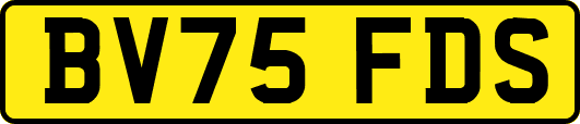 BV75FDS