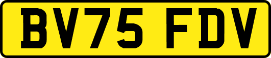 BV75FDV