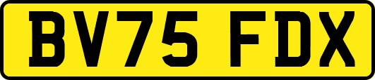 BV75FDX