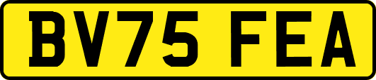 BV75FEA