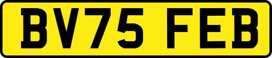 BV75FEB