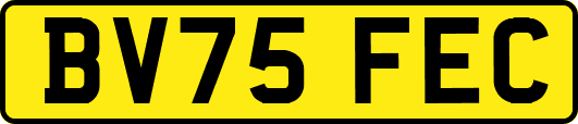 BV75FEC