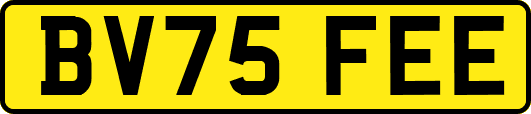BV75FEE