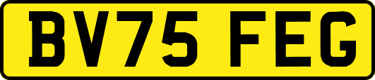 BV75FEG