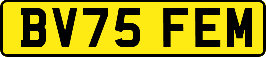 BV75FEM