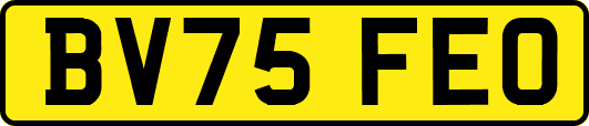 BV75FEO