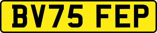 BV75FEP