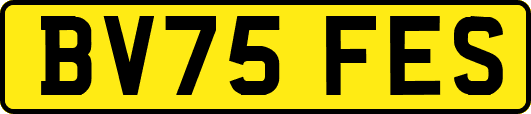 BV75FES