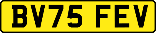 BV75FEV